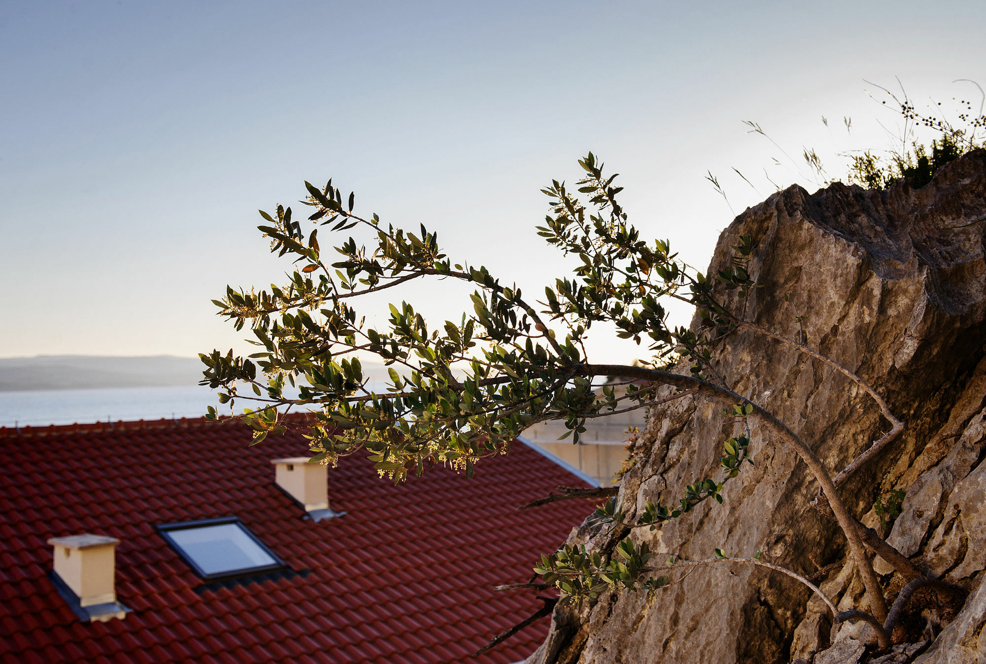 Villa Palloma Baska Voda Luaran gambar
